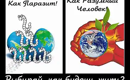 Выбирай как ты будешь жить!