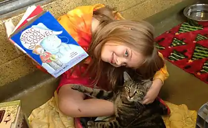 25 Fascinating Foolish Men Що Will Melt Your Cold Heart
