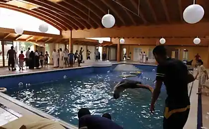 Ливийские повстанцы