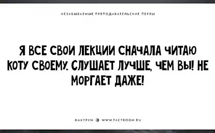 20 незабываемых преподавательских перлов