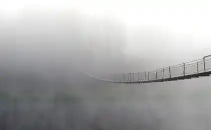 Сила.