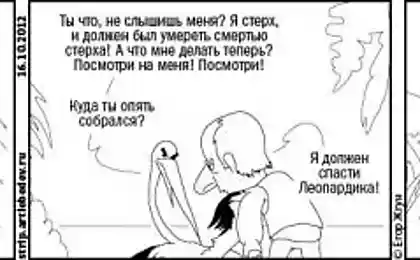 Путин на страже
