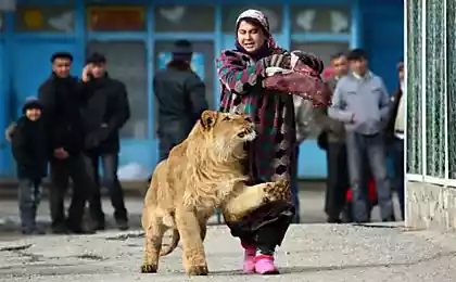 Фотографии агентства Reuters