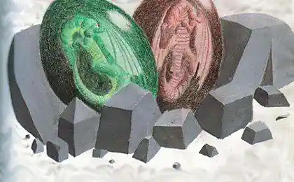Из яйца