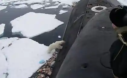 есть там кто?