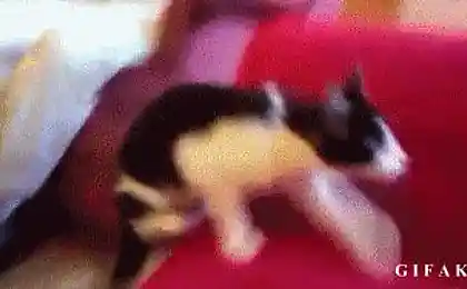 О, я плаваю!
