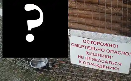 Осторожно! Смертельно опасно!