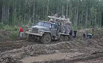 Бездорога