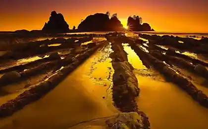Фотографии National Geographic (51 фотография)