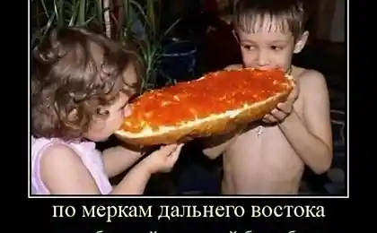 Обычный бутерброд...)))