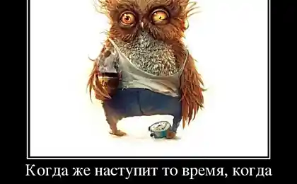 В следующей жизни