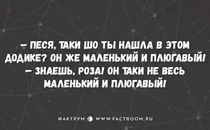 10 остроумных диалогов от мастеров красного словца