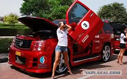 Арабські Run 2008