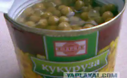 Кукуруза сахарная