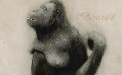 Beautiful drawings in pencil (13 photos)