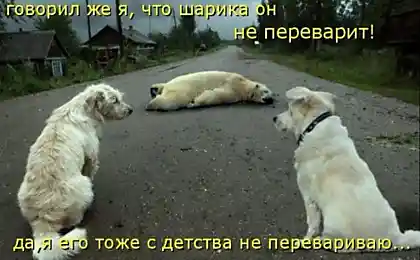 Смешные картинки (29 фото)