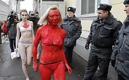 НЕТ тюленям в России!