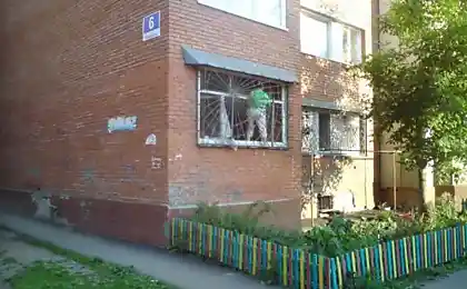 Супер герой "Человек паук" поймал форточника