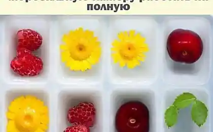 Excellent selection of creative recipes