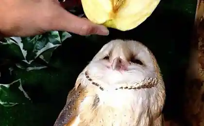 Хранилище души