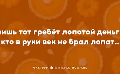 «Полупирожки»: 12 остроумных двустиший о нашей с вами жизни