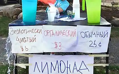 17 дітей, які вже розуміли, як жити в світі