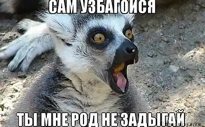 Довести любого можно