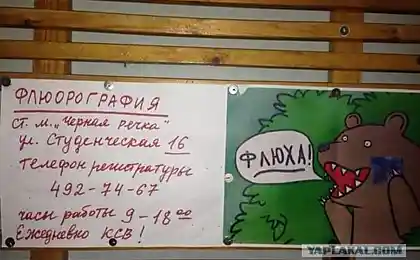 Університет. Підтвердження