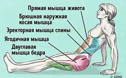 Просто одна вправа спалювати жир і виправити поставу