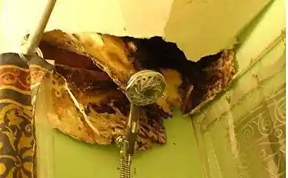 Unpleasant surprise in the bathroom