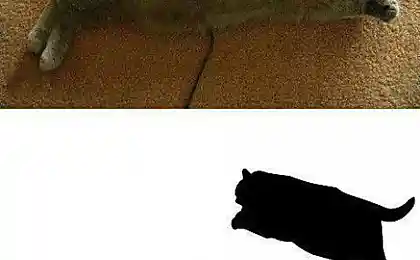 Ребрендинг
