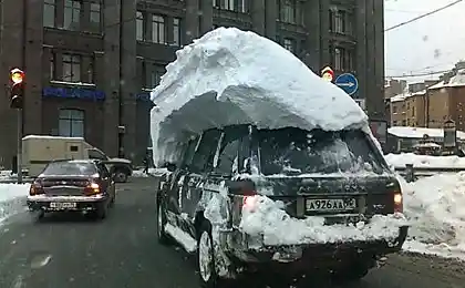 Забыл с крыши стряхнуть немножко