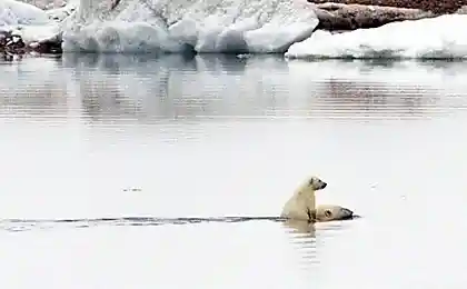 Самый удобный транспорт