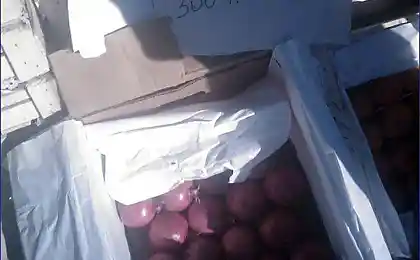 Кустанай