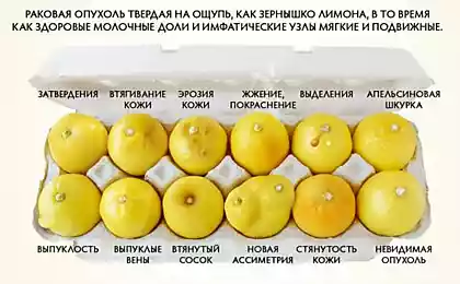 Эти 6 продуктов способны предотвратить рак молочной железы! Лучшая профилактика, известная мне…