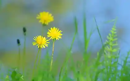 Ах, лето!