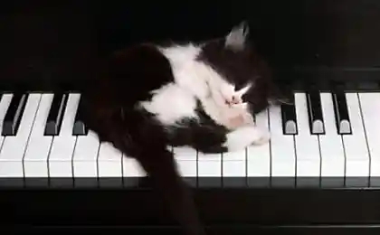 (: Споке-ноке :)