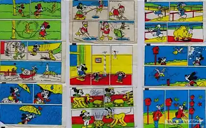 Коллекция вкладышей Donald&#39;s 11 фото