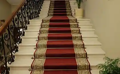 Сортир в Москве (8 фотографий)