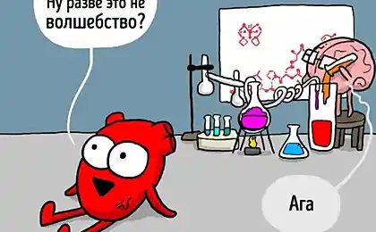 14 Комікси на контроверсійному підключенні серця та розуму