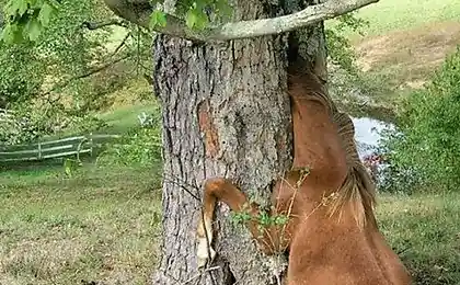 Свезло так свезло (2 фотографии)