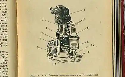 Биоробот из СССР (8 фото)