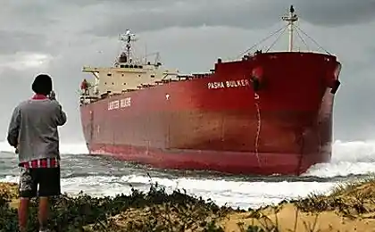 Pasha Bulker на мели (22 фото)