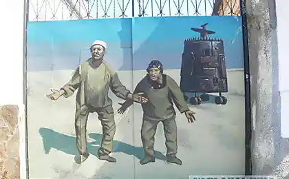 Ку!