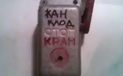 Наверное, брат