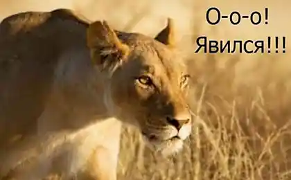 Из царского быта