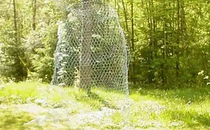 Прихильник своїми руками