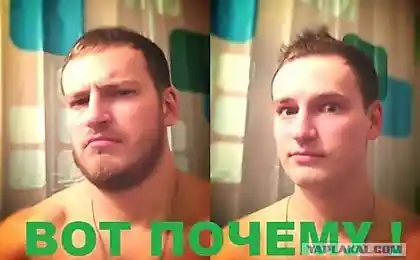 Чому борода?