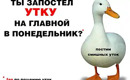 Начинающим