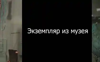 Ноу комент
